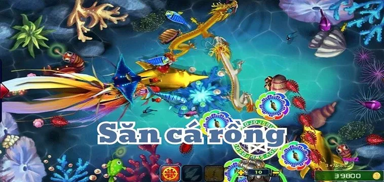 Cách Chơi Bắn Cá Rồng Tại 8KBet Siêu Đỉnh Siêu Vui 2 Cách Chơi Bắn Cá Rồng Tại 8KBet Siêu Đỉnh Siêu Vui