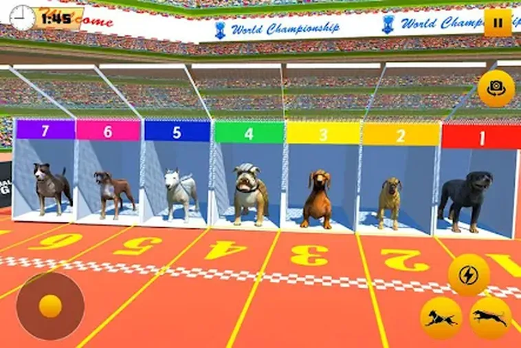 Cách Chơi Game Nhanh Đua Chó Tại 8KBet Cực Hấp Dẫn 2 Cách Chơi Game Nhanh Đua Chó Tại 8KBet Cực Hấp Dẫn