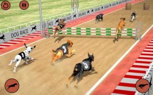 Cách Chơi Game Nhanh Đua Chó Tại 8KBet Cực Hấp Dẫn