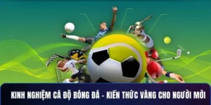 Tìm Hiểu Cá Cược Bóng Đá 8KBet Từ Chuyên Gia